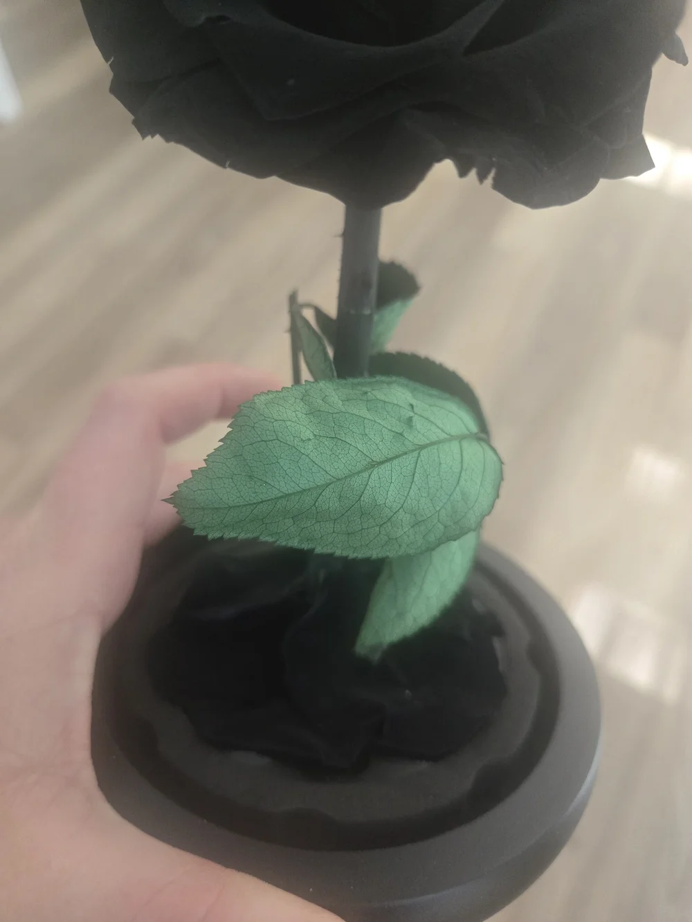 Black Preserved Rose in Decorative Dome - Home Accents